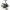 Безынерционная катушка с передним фрикционом, фото