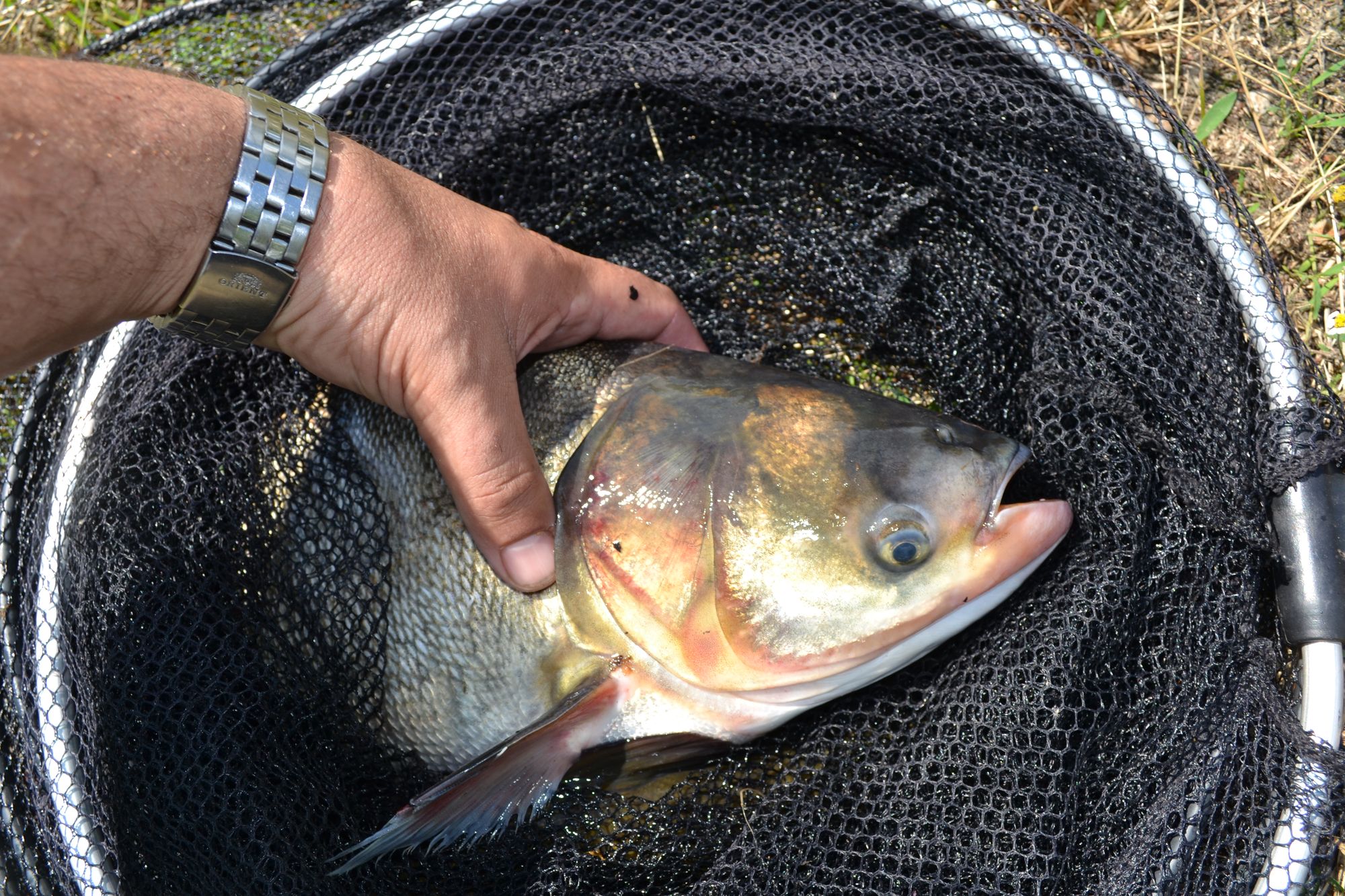 Рыбалка на озере Осове, фото