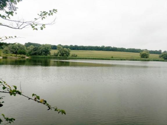 Неудачная поездка на Матвеевский Бам (Ставок возле с. Матвеевка (Бам), Черкасский район), фото