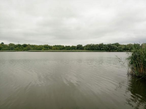 Тестовая рыбалка в с. Косари (Ставок в с. Косари, Черкасский район), фото