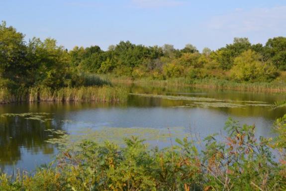 Летняя суточная рыбалка на озере "Осове" (Озеро "Осове" ("Исаево") возле с. Крещатик, Черкасский район), фото