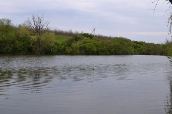 Ставок в с. Марьяновка (с. Заречье), Маловисковский район, Кировоградская область