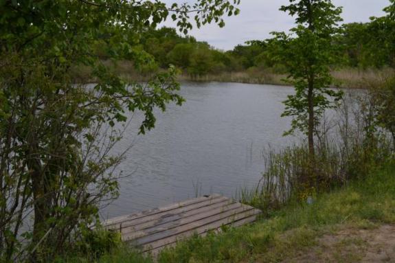 Вымостка на озере Осовом возле с. Крещатик Черкасский район, Черкасская область
