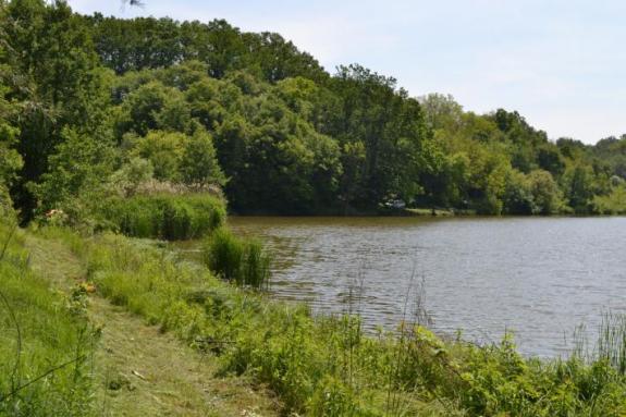 Платный ставок в с. Буда-Орловецкая