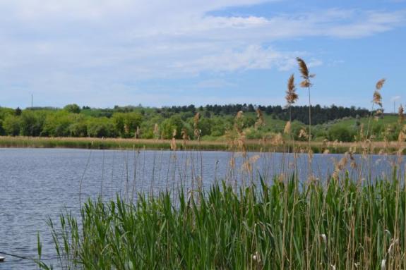 Платна водойма для риболовлі в с. Омельгород, фото
