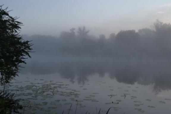 Озеро Осове, рыбалка в Черкасской области, фото