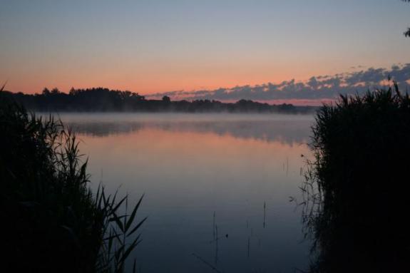 Ставок в с. Поселяновка, платная рыбалка, фото