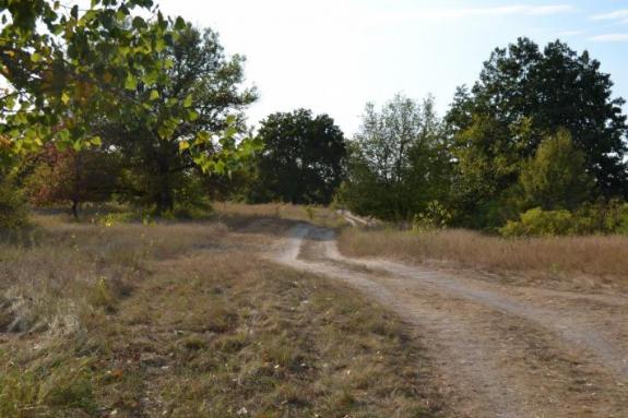 Летняя суточная рыбалка на озере "Осове" (Озеро "Осове" ("Исаево") возле с. Крещатик, Черкасский район), фото