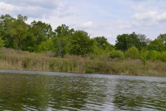 Озеро Осове возле с. Крещатик Черкасский район, Черкасская область
