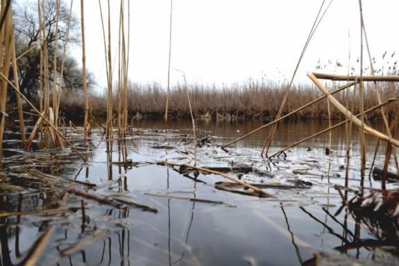 Ловля плотвы на Суле (открытие сезона рыбалки на мирную рыбу) (Рыбалка на реке Сула (с. Плехов), Лубенский район), фото
