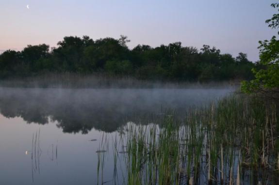 Озеро Осове возле с. Крещатик Черкасский район, Черкасская область