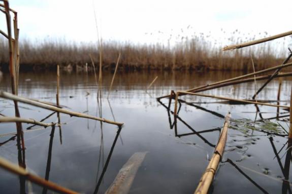 Ловля плотвы на Суле (открытие сезона рыбалки на мирную рыбу) (Рыбалка на реке Сула (с. Плехов), Лубенский район), фото