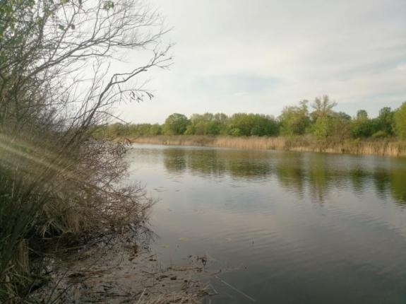 Открытие карпового сезона 2020 на озере "Осове" (Озеро "Осове" ("Исаево") возле с. Крещатик, Черкасский район), фото