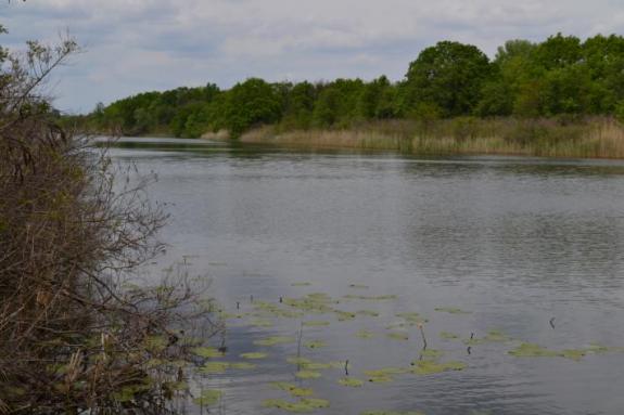 Озеро Осове возле с. Крещатик Черкасский район, Черкасская область