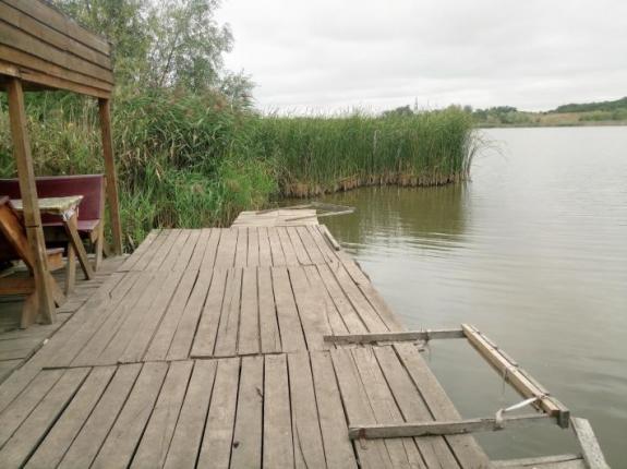 Тестовая рыбалка в с. Косари (Ставок в с. Косари, Черкасский район), фото