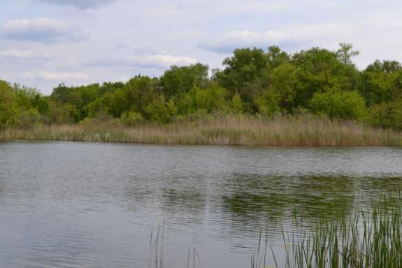 Озеро Осове возле с. Крещатик Черкасский район, Черкасская область