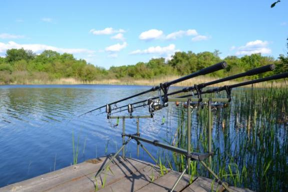 Озеро Осове возле с. Крещатик Черкасский район, Черкасская область