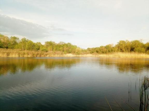 Открытие карпового сезона 2020 на озере "Осове" (Озеро "Осове" ("Исаево") возле с. Крещатик, Черкасский район), фото