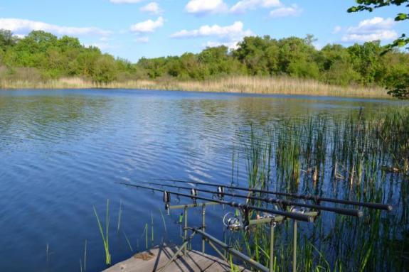 Озеро Осове возле с. Крещатик Черкасский район, Черкасская область