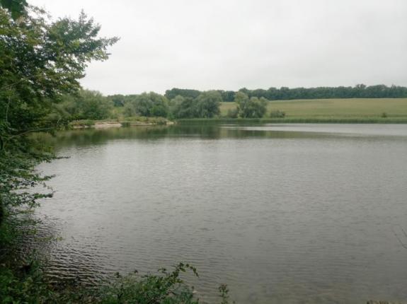 Неудачная поездка на Матвеевский Бам (Ставок возле с. Матвеевка (Бам), Черкасский район), фото
