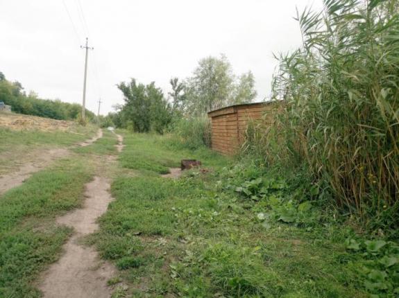 Тестовая рыбалка в с. Косари (Ставок в с. Косари, Черкасский район), фото