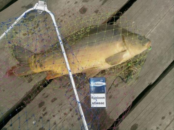 Открытие карпового сезона 2020 на озере "Осове" (Озеро "Осове" ("Исаево") возле с. Крещатик, Черкасский район), фото