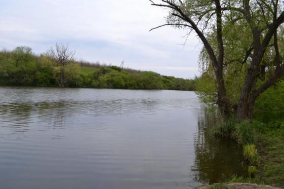 Ставок в с. Марьяновка (с. Заречье), Маловисковский район, Кировоградская область