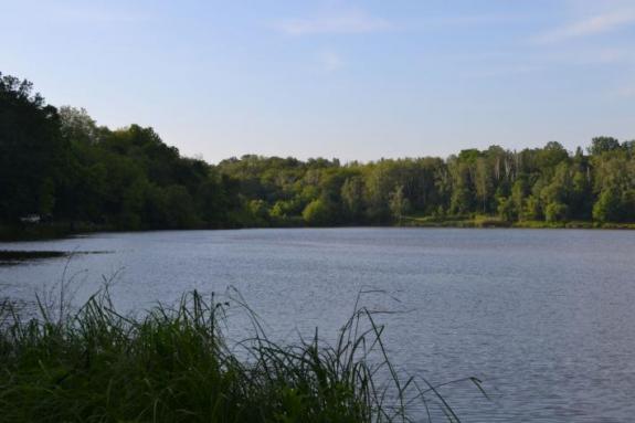 Платный ставок в с. Буда-Орловецкая