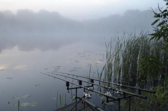 Озеро Осове, рыбалка в Черкасской области, фото