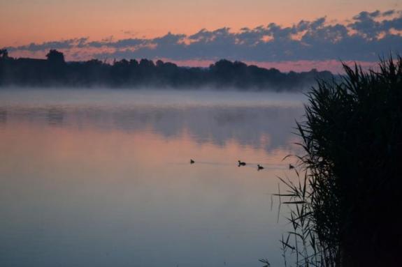 Ставок в с. Поселяновка, платная рыбалка, фото