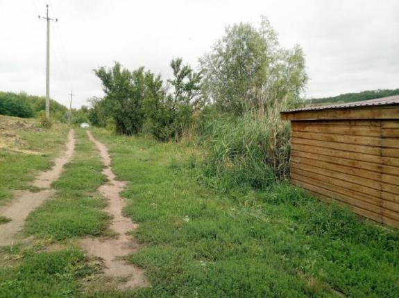 Тестовая рыбалка в с. Косари (Ставок в с. Косари, Черкасский район), фото