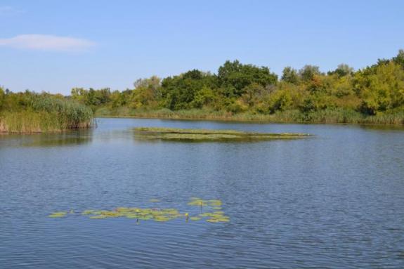 Летняя суточная рыбалка на озере "Осове" (Озеро "Осове" ("Исаево") возле с. Крещатик, Черкасский район), фото