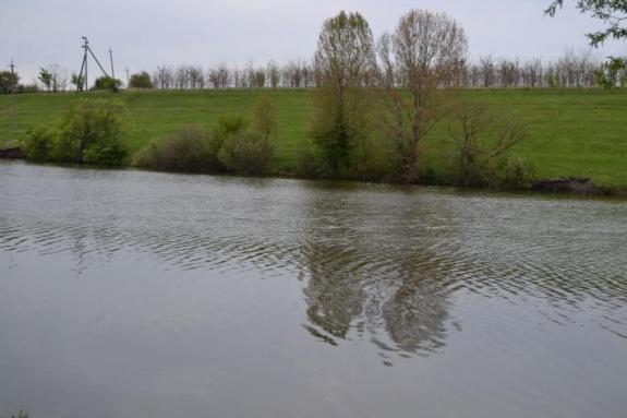 Ставок в с. Марьяновка (с. Заречье), Маловисковский район, Кировоградская область