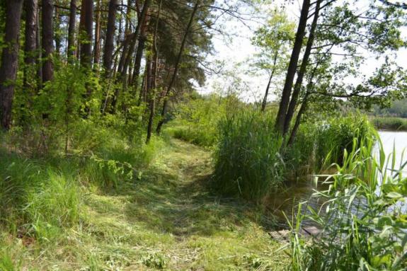 Платный ставок в с. Буда-Орловецкая