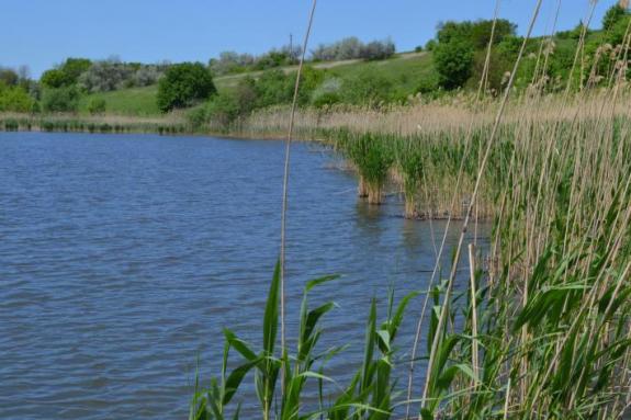 Платна водойма для риболовлі в с. Омельгород, фото