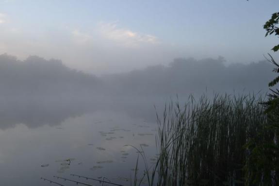 Озеро Осове, рыбалка в Черкасской области, фото