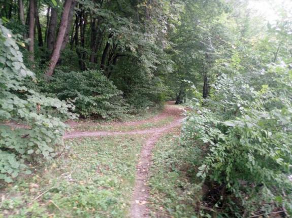 Неудачная поездка на Матвеевский Бам (Ставок возле с. Матвеевка (Бам), Черкасский район), фото