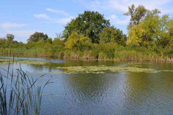 Летняя суточная рыбалка на озере "Осове" (Озеро "Осове" ("Исаево") возле с. Крещатик, Черкасский район), фото