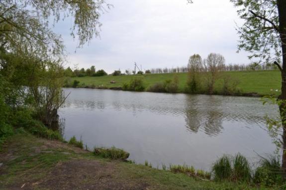 Ставок в с. Марьяновка (с. Заречье), Маловисковский район, Кировоградская область