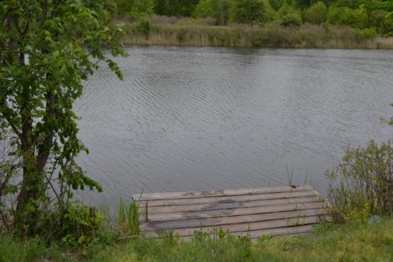 Вымостка на озере Осовом возле с. Крещатик Черкасский район, Черкасская область