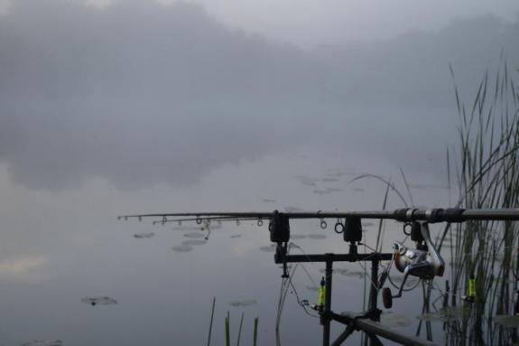 Озеро Осове, рыбалка в Черкасской области, фото