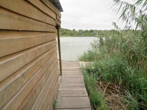 Тестовая рыбалка в с. Косари (Ставок в с. Косари, Черкасский район), фото