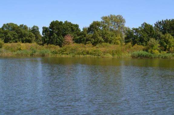 Летняя суточная рыбалка на озере "Осове" (Озеро "Осове" ("Исаево") возле с. Крещатик, Черкасский район), фото