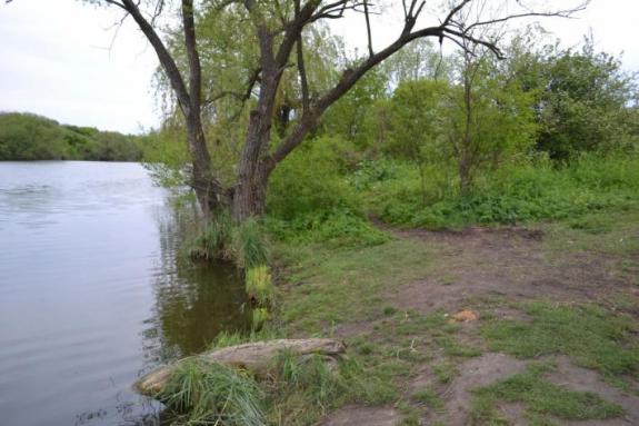 Ставок в с. Марьяновка (с. Заречье), Маловисковский район, Кировоградская область