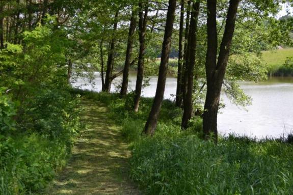 Платный ставок в с. Буда-Орловецкая