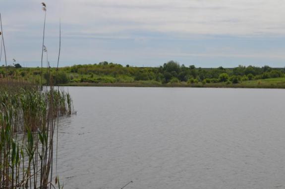 Платна водойма для риболовлі в с. Омельгород, фото
