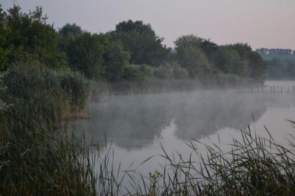 Ставок в с. Поселяновка, платная рыбалка, фото