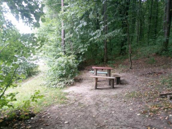 Неудачная поездка на Матвеевский Бам (Ставок возле с. Матвеевка (Бам), Черкасский район), фото