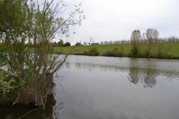 Ставок в с. Марьяновка (с. Заречье), Маловисковский район, Кировоградская область