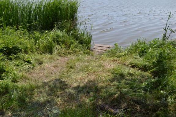 Платный ставок в с. Буда-Орловецкая